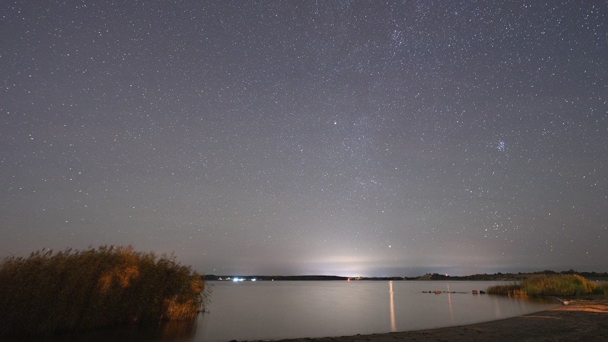 a body of water with trees and a starry sky above